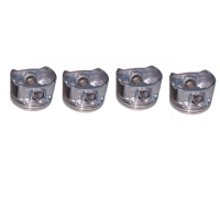 Поршень з пальцем 0,25 (компл.) Chery Amulet