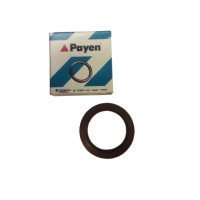 Сальник распредвала Chery Amulet PAYEN