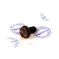 Болт крепления маховика PREMIUM Chery Amulet