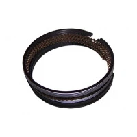 Кольца поршневые 1,1L 0,25 Chery QQ