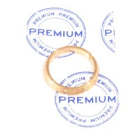 Кольцо дифференциала фиксирующее PREMIUM Chery Amulet