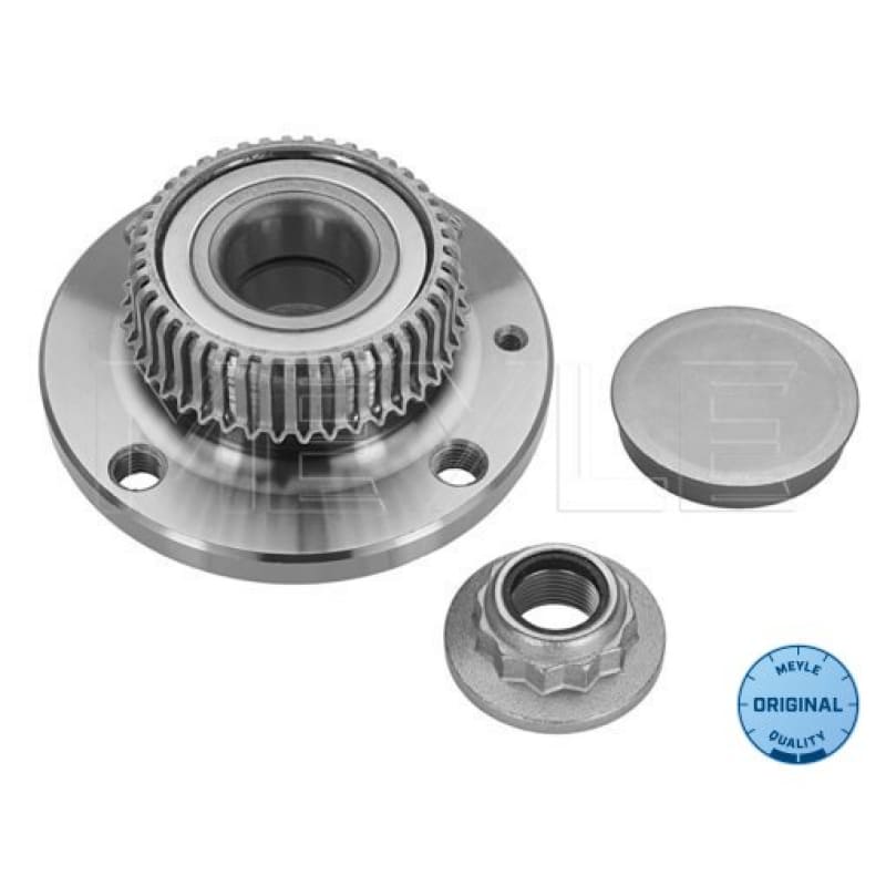 Ступица задняя в сборе с ABS Chery Amulet MEYLEyes