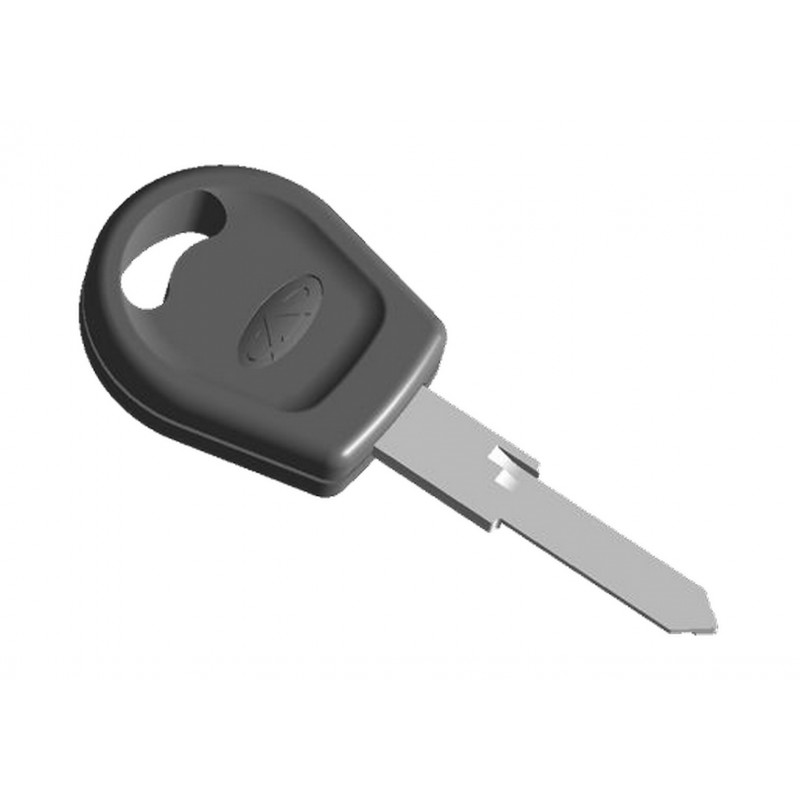Заготівля ключа Chery Amulet