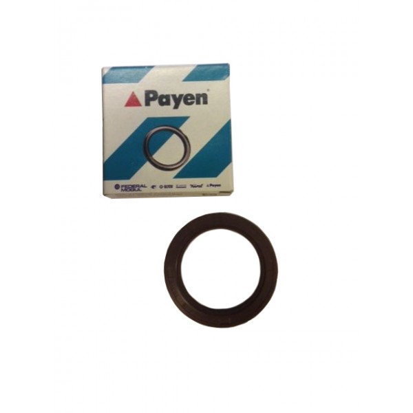 Сальник распредвала Chery Amulet PAYENyes