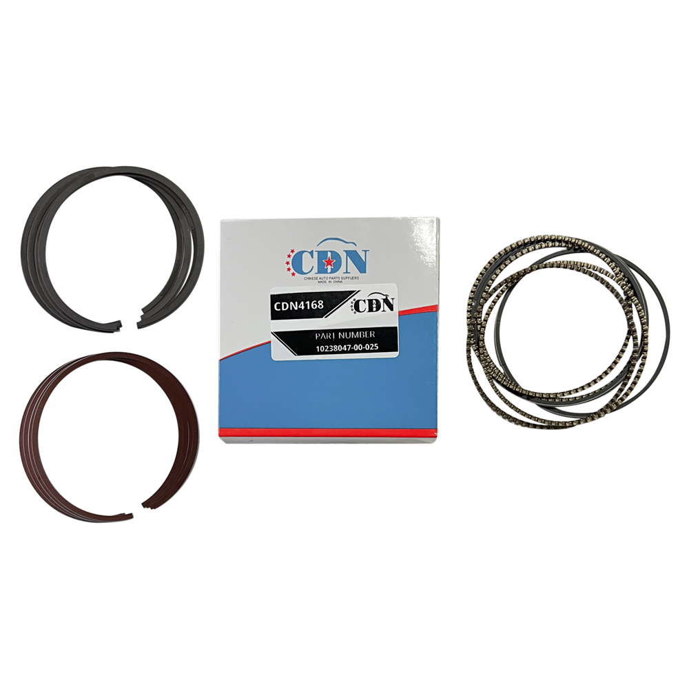 Кольца поршневые 0.25 (CDN) 1.6L BYD F3 10238047-00-025 17.01.0400F30BAyes