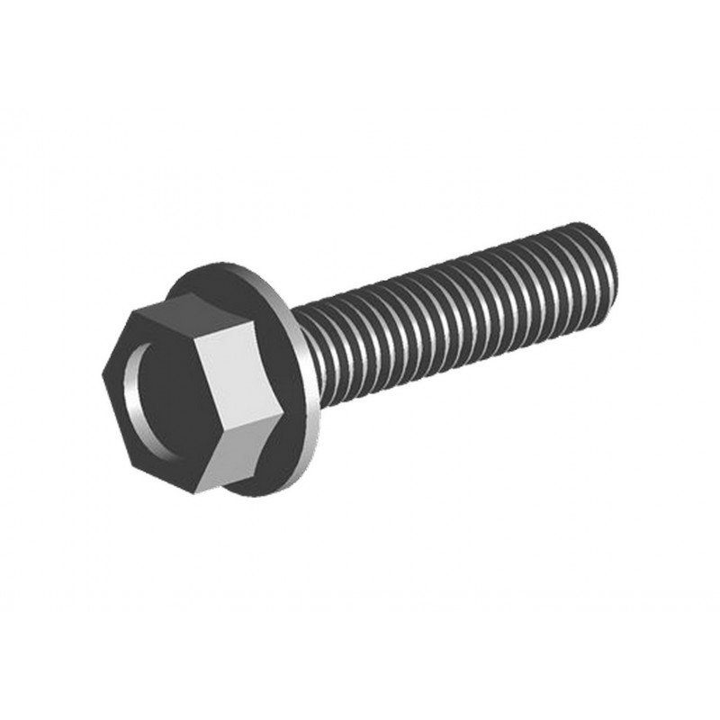 Болт кріплення масляного насоса Chery Amulet (Чері Амулет) 480-1011062