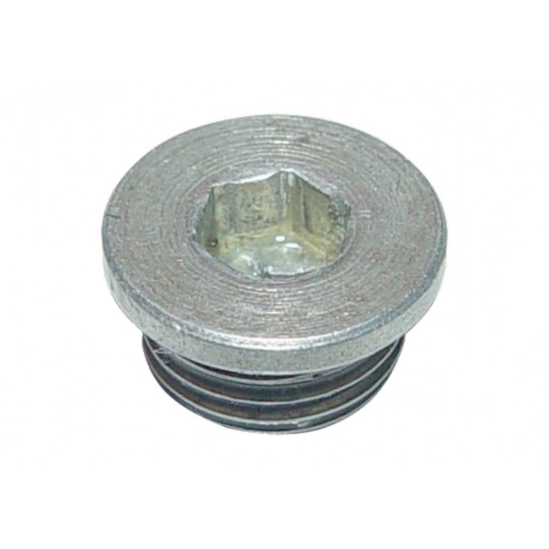 Пробка КПП вилки 5-й передачі Chery QQ Beat QR512-1702516
