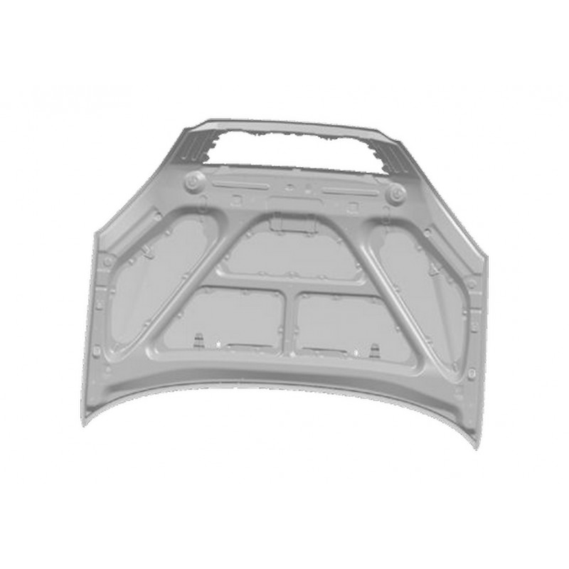 Капот Chery Tiggo (Чері Тіго) T11-8402010-DY